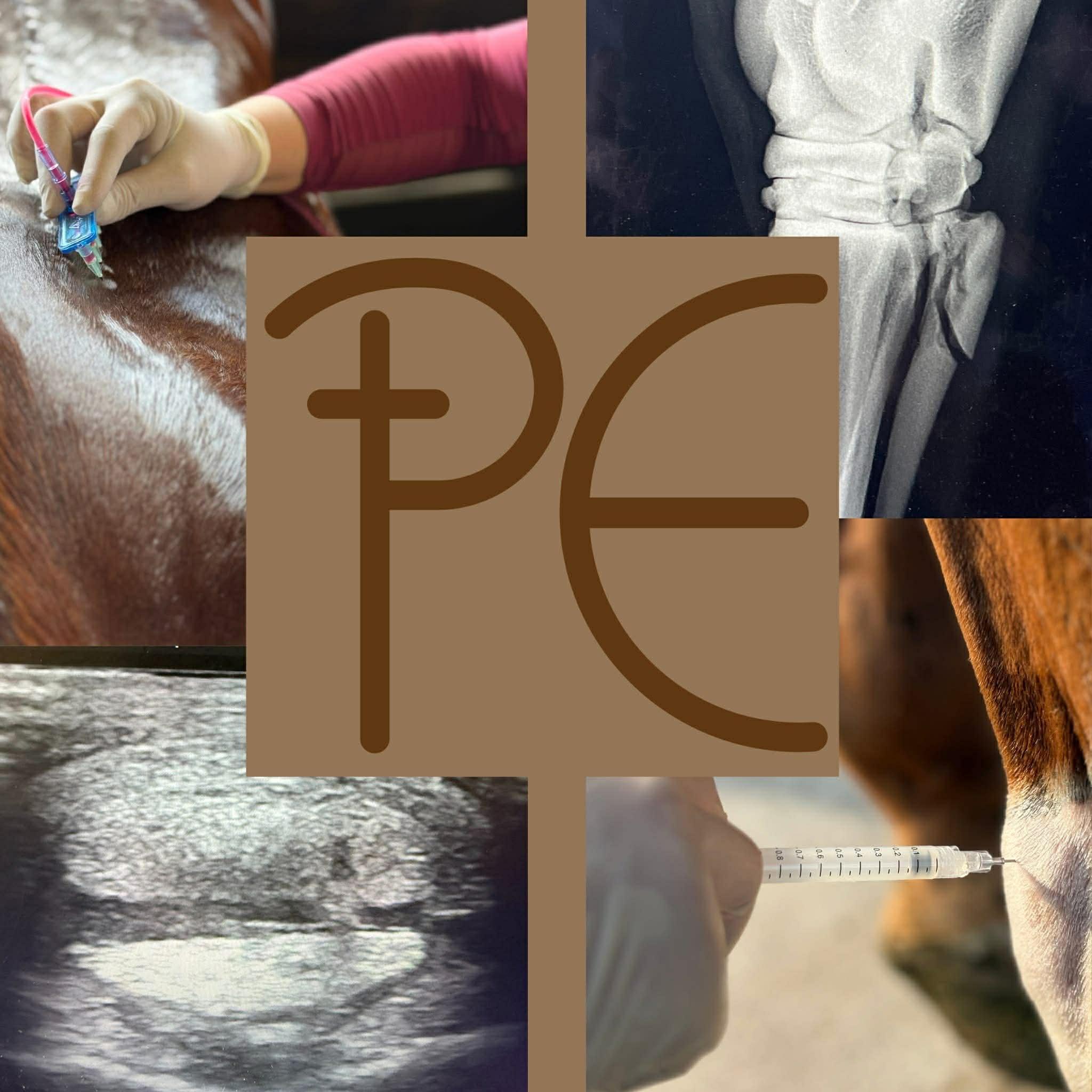 logo and supporting images for Prestige Equine